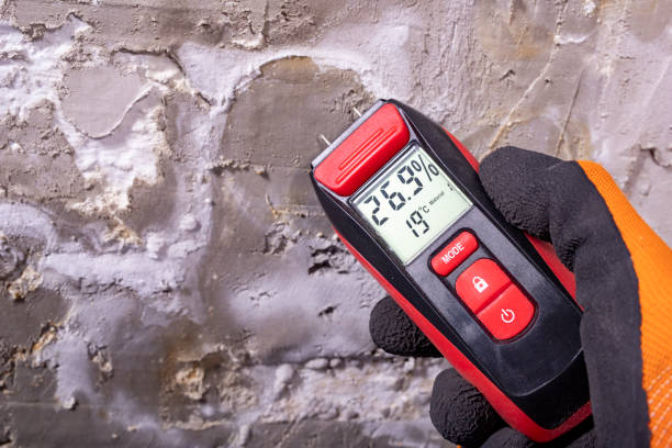 Best Mold Remediation for Specific Building Types in Marysville, WA