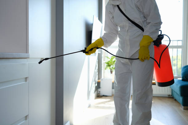 Trusted Marysville, WA Mold Remediation Experts